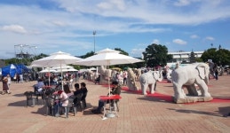 경주시, 신라문화제에 각종 편의시설 대폭 확충