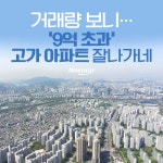 [카드뉴스]거래량 보니…‘9억 초과’ 고가 아파트 잘나가네