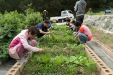 곡성군, 토종 씨앗 재배농산물로 건강 밥상 선보인다