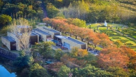 경주엑스포 솔거미술관, 학예사 공개모집