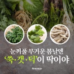 [카드뉴스]눈꺼풀 무거운 봄날엔 ‘쑥·갯·덕’이 딱이야