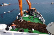 한국어촌어항공단, 해양폐기물 2천96톤 수거...어항환경개선 기여