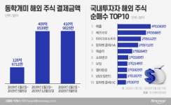 50조 들고 뉴욕 공습한 동학개미…해외 주식 쓸어담았다