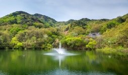 구미시, 옥성자연휴양림 6월부터 재개장... 의료인 무료