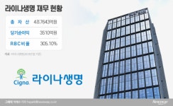 ‘국내 1호 외국계 보험’ 라이나도 매각설…외국계 생보사 M&A 속도