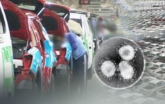 상반기 車 생산량 전년比 20%↓…내수 판매 4년만에 최다