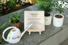 마켓컬리, 서울 신북초에 교실 숲 조성