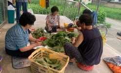 경산시, 경로당 회원을 향한 온정의 손길