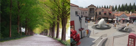 알핀로제 요들클럽, 담양 메타세콰이어에서 ‘요들&포크 가을음악회’