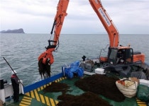 한국어촌어항공단, 괭생이모자반 수거지원…어항서해5호·어항제주1호 투입