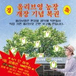 “귀농 지원금 100만원 드려요”…올리브영, 만우절 이벤트 진행