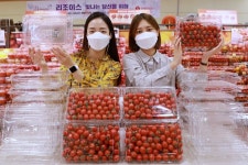 롯데마트, 용기 라벨 없앤 대추방울토마토 판매