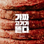[카드뉴스]가짜 고기가 뜬다