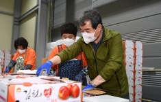 김충섭 김천시장, 자두 유통시설 증축현장 찾아 소통행보