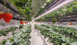 경북도, 전통시장 빈 가게에 스마트팜 도입 추진