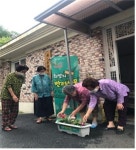 광주 서구, ‘경로당 힐링 원예 프로그램’ 큰 호응