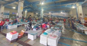 [단신] 포항 죽도시장, 건어물 할인행사 진행