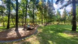 인천시설공단, 송도 해돋이공원에 힐링산책로 조성