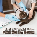 [카드뉴스]수술 한 번에 ‘천만원’ 뚝딱…부르면 값이 되는 동물병원