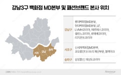 엠디유글로벌마듀현대백화점 | '명품따라 강남간다'…백화점 3사 MD 강남에 모였다