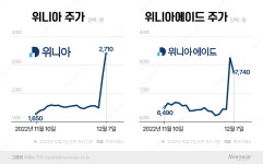 韓 상륙 임박 애플페이…위니아·위니아에이드 주가 방긋