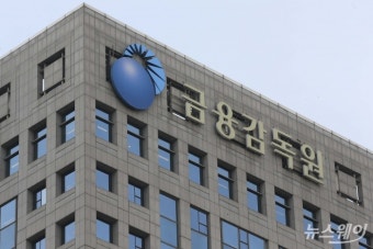 금감원, '대주주 신용공여 위반' 투자자문사에 기관주의·과징금 조치
