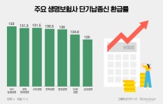 완료 대신 유지…생보사, 제재 피해 또 단기납종신 고환급률 경쟁