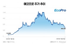 한때 황제주 에코프로의 추락…증권가 아직도 비싸다