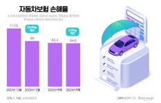 줄줄이 車보험료 인하한 손보사, 올해 손해율 미치는 영향은?