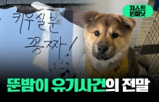 [이슈 콕콕]뚠밤이 유기사건의 전말