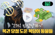 [저스트원미닛]21억 받았당개 복권 당첨 도운 복덩이 동물들