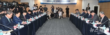 [한 컷]이찬진 금감원장, 취임 후 첫 보험회사 최고경영진들 만나