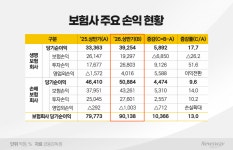 '투자 대박' 보험사, 상반기 순익 9조 원 돌파
