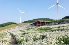 한국종합기술, 풍력발전단지 조성사업 2건 수주