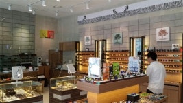 옵티컬 샛별 아프리카 인기