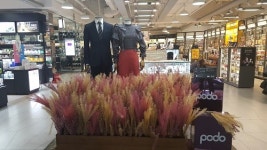 포도몰, 추가 MD와 감사 이벤트로 상승세 이어간다