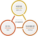다음앤큐큐 ‘씬구스’ 내년 공개 亞 최초 자체 기술 압축 다운