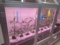 아워즈팜과 한국미래농업고등학교,  ‘화훼류 전용 스마트팜 모듈’ 개발 나서