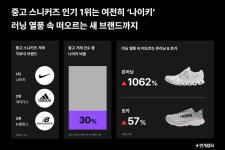 번개장터, 2024 중고 스니커즈 인기 1위는 나이키