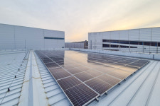 소나무 7904그루 심는 효과 현대면세점, 태양광 에너지 준공