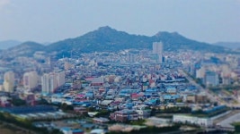 [칼럼] 목포의 눈물