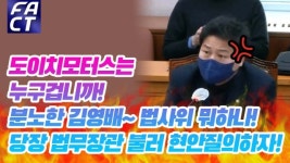 [영상]도이치모터스는 누구겁니까..분노한 김영배 법사위가 이러면 되나..당장 법무장관 불러 현안질의하자