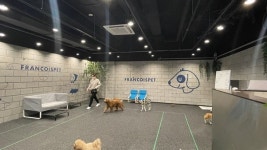 프랑소와펫, 대전·신세계百 입점.. 소비자 접점 확대