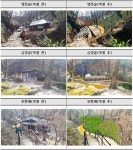 속리산 냉천골·금강골·보현재 휴게소 생태적 복원 추진