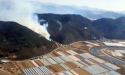 [종합] 경주 서동리 등 전국 곳곳 산불 진화