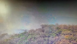 경기 화성 노하리 산불, 주불 진화 완료