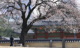 [내일날씨] 일교차 큰 하루…서울 낮 최고 19도