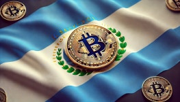엘살바도르, IMF 경고에도 