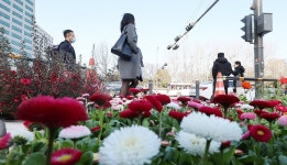 [내일날씨] 서울 아침 -2도 꽃샘추위…곳곳에 눈·비