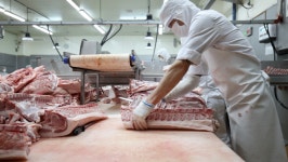 [매일경제TV 극찬기업] 25일 방영….면역 찜질방 운영 기업 | 두피&탈모 연구 및 제품 개발 기업 | 축산 토탈 솔루션 기업